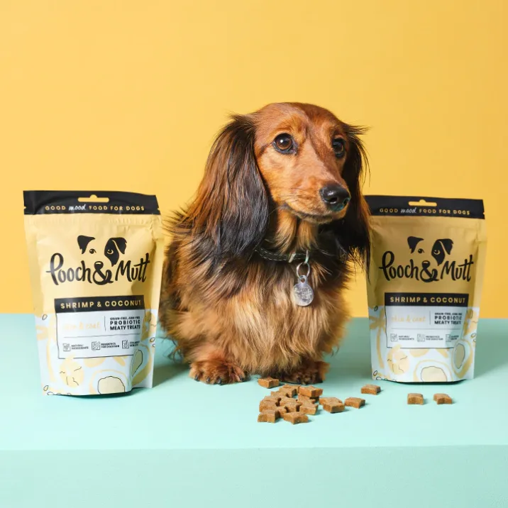 A dog with Pooch and Mutt dog treats in a studio environment